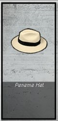 File:PanamaHat.png