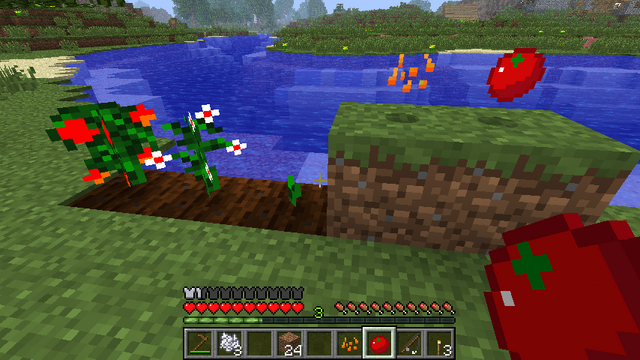 File:The Life of Tomatoes.png