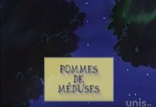Et MLV Pommes de méduses.jpg