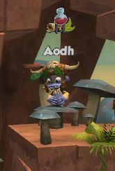 Aodh