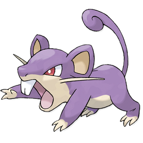 019Rattata