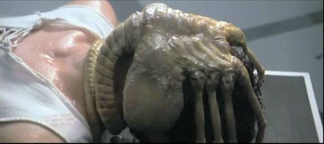 File:Alien facehugger.jpg
