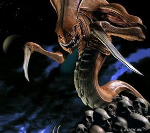 Zerg