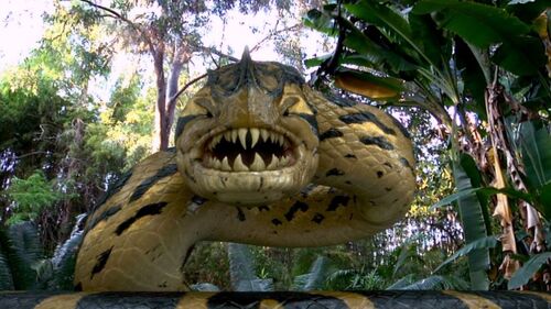 Piranhaconda