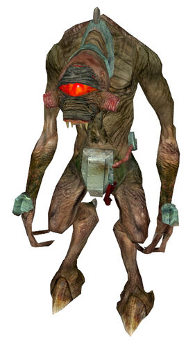 Vort slave HL2