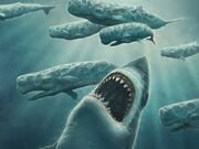 Megalodon-out-of-blue