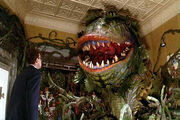 Audrey II
