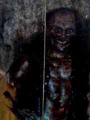 106image