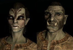 Orcs
