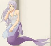 Meia