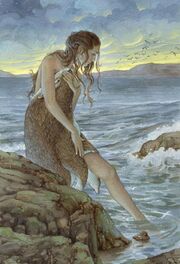 Selkie
