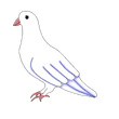 Bianca.png