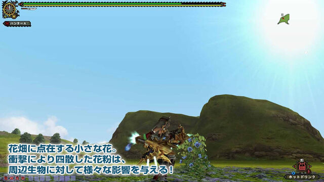 File:MHFGG-Flower Field Screenshot 018.jpg