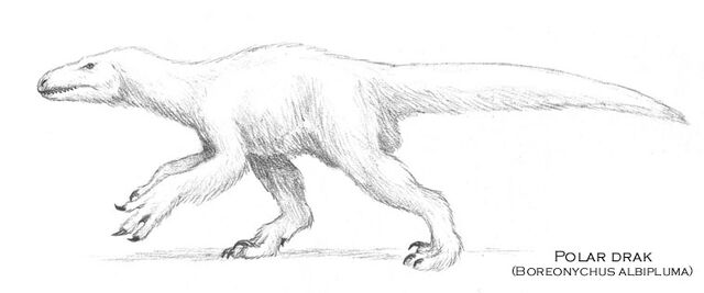 File:Polardrak-1.jpg
