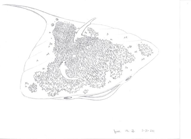 File:Mantaray Monster flipped.jpg
