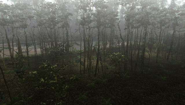 File:MHFU-Old Jungle Screenshot 041.png