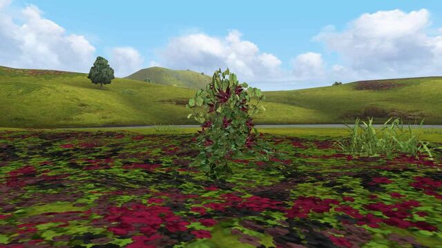 File:MHFGG-Flower Field Screenshot 006.jpg