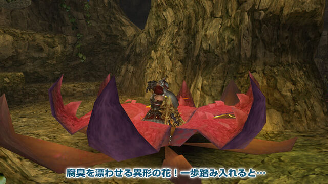 File:MHFGG-Flower Field Screenshot 012.jpg