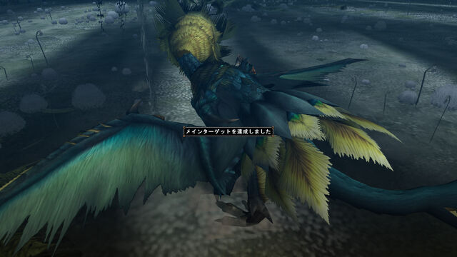 File:FrontierGen-Farunokku Screenshot 021.jpg