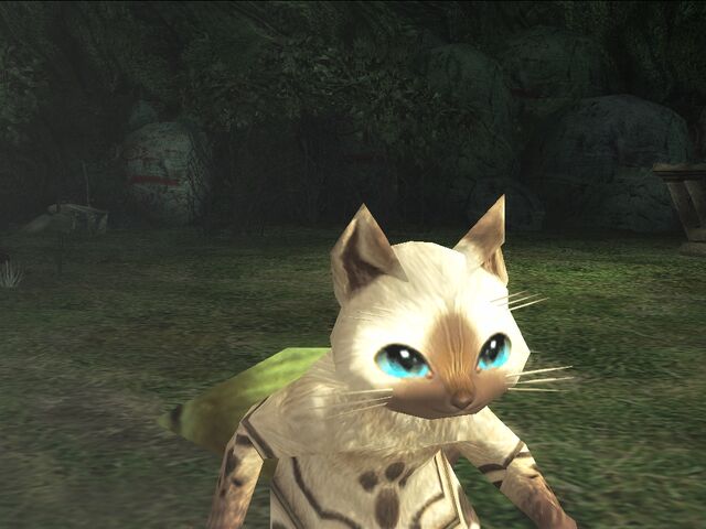 File:HG Felyne 1.jpg