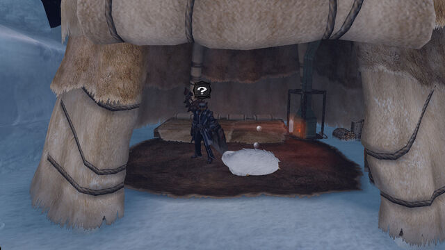 File:Baby seal in camp.jpg