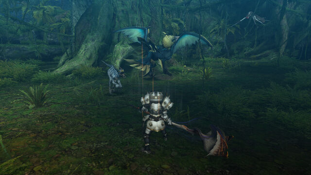 File:FrontierGen-Farunokku Screenshot 012.jpg