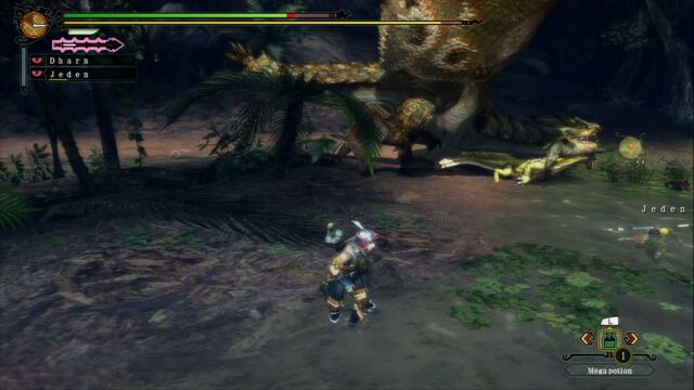 File:MH3U-Rathian Screenshot 013.jpg