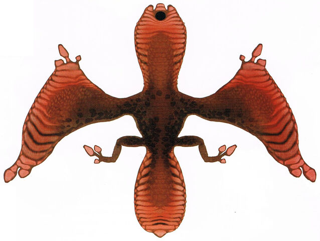 File:Gigginox-Underbelly.jpg