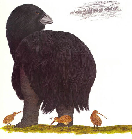 File:Tromb.jpg