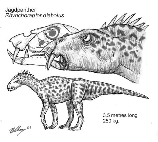 File:Rhyncho1.jpg