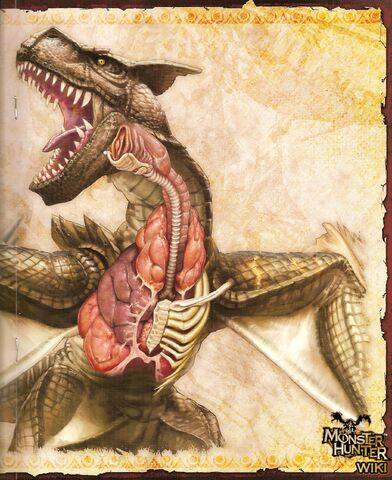 File:Black Tigrex Scan 4.jpg