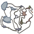Thumbnail for version as of 01:00, August 2, 2009