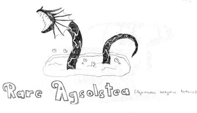 Rare Agsolstea
