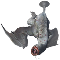 Khezu