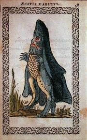 Sea bishop monster omnium fer hi (1)