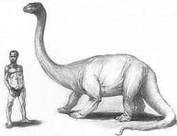 Dino