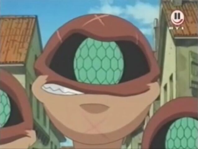 Datei:Fly Eye.jpg
