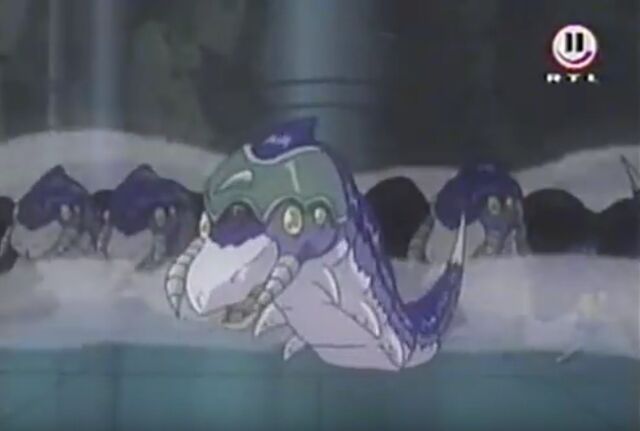 Datei:Drill Tusk.jpg