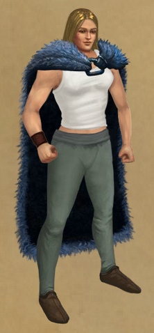 File:Southling's Shieldcloak.png