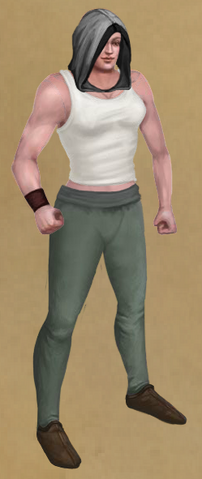 File:Austere Hood.png