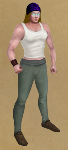 File:Mystic's Turban.png