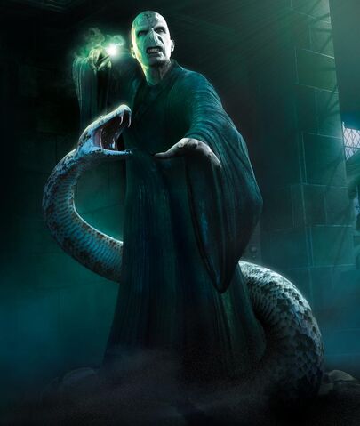 File:Voldemort-Nagini.jpg