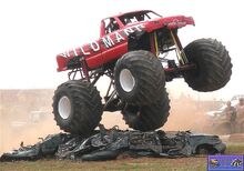 Wildmn210a1