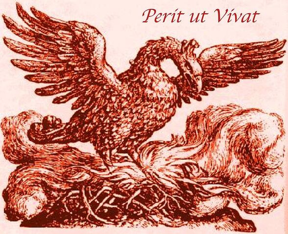 Datei:735px-Fenixperitutvivat-1-.jpg