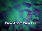 NANE Titlecard