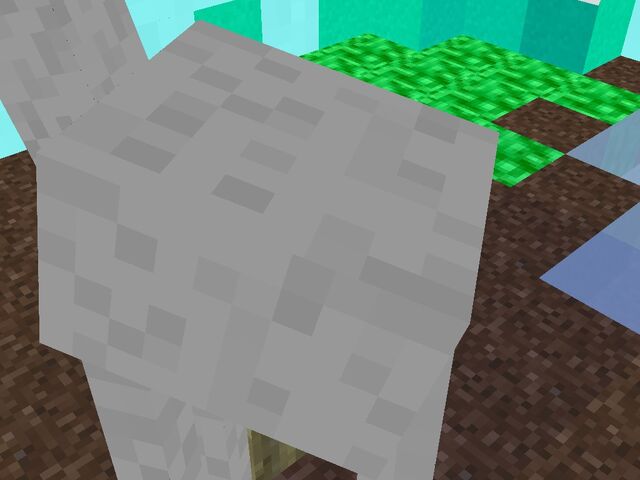 File:Unhealthy giraffe.jpg