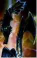 Possessor
