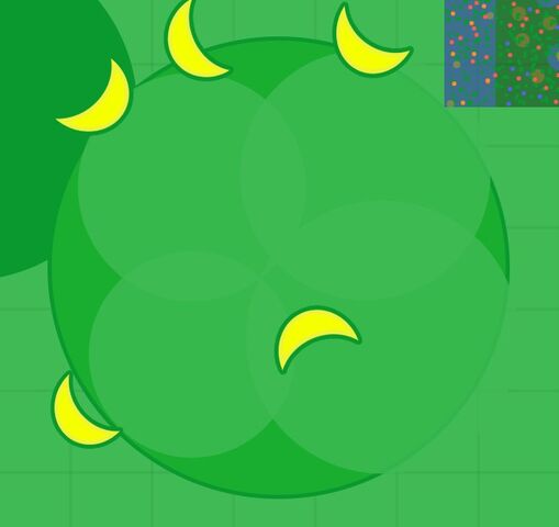 File:Tree.jpg