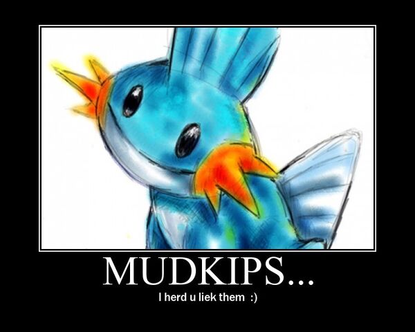 File:Mudkipz 3-1-.jpg