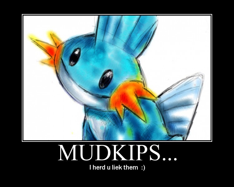 Mudkipz 3-1-